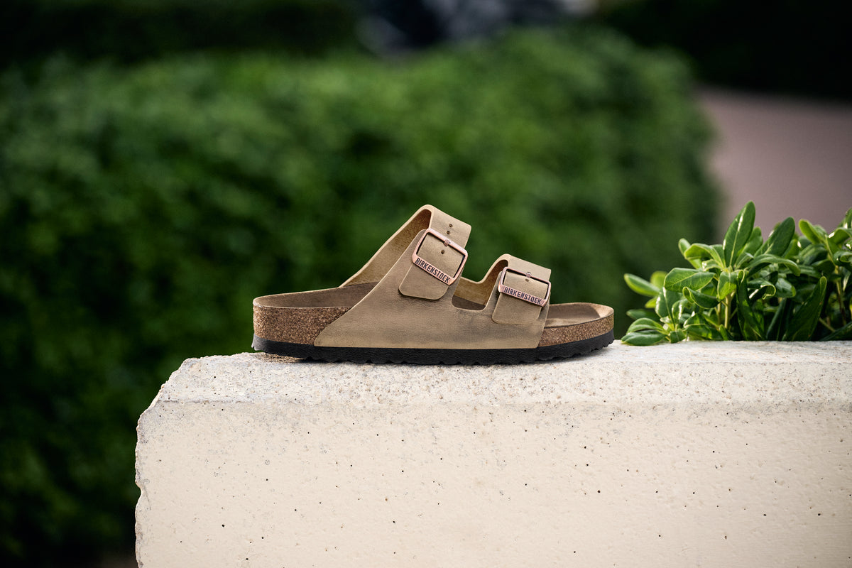 Brown sandal birkenstock on a concrete ledge with greenery in the background