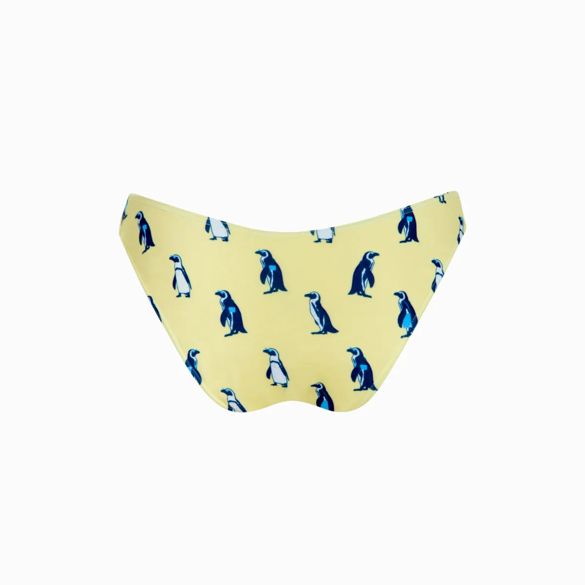 Granadilla Ladies Bikini Bottom - The Clifton Full Bottom